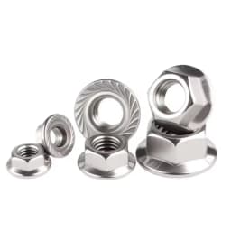 Hexagon Flange Nuts M3 M4 M5 M6 M8 M10 M12 M16 M20 304 Stainless Steel Pinking Automatic Locking Nut DIN6923 Serrated Spinlock