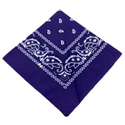 Fashion Bandana Kerchief Head Square Scarves Print Handkerchief Woman Man Hair Band Neck Scarf Sports Headwear Wrap Head Scarf