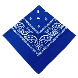 Fashion Bandana Kerchief Head Square Scarves Print Handkerchief Woman Man Hair Band Neck Scarf Sports Headwear Wrap Head Scarf