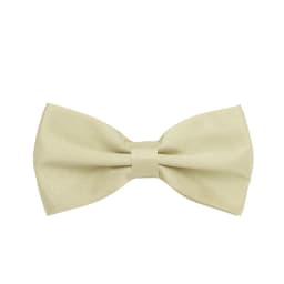 HUISUI 2024 New 43 Color Suit Bow Tie Wedding Gift Solid Party Classic Butterfly Cravat Wholesale Polyester Material Bowtie