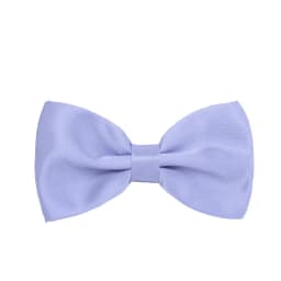 HUISUI 2024 New 43 Color Suit Bow Tie Wedding Gift Solid Party Classic Butterfly Cravat Wholesale Polyester Material Bowtie