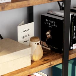 IRONCK Industrial Bookshelf and Bookcase Double Wide 5 Tier, Large Open Shelves, Wood and Metal Bookshelves for Home Office