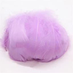 100pcs Goose Feathers for Crafts 4-8cm 6-12cm Swan Plumes Wedding Party Handicraft Accessories Decoration Dream Catcher Feathers