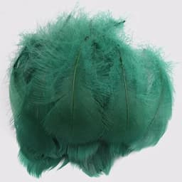 100pcs Goose Feathers for Crafts 4-8cm 6-12cm Swan Plumes Wedding Party Handicraft Accessories Decoration Dream Catcher Feathers