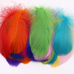 100pcs Goose Feathers for Crafts 4-8cm 6-12cm Swan Plumes Wedding Party Handicraft Accessories Decoration Dream Catcher Feathers