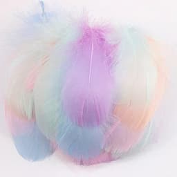 100pcs Goose Feathers for Crafts 4-8cm 6-12cm Swan Plumes Wedding Party Handicraft Accessories Decoration Dream Catcher Feathers