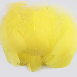 100pcs Goose Feathers for Crafts 4-8cm 6-12cm Swan Plumes Wedding Party Handicraft Accessories Decoration Dream Catcher Feathers