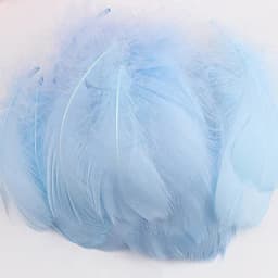 100pcs Goose Feathers for Crafts 4-8cm 6-12cm Swan Plumes Wedding Party Handicraft Accessories Decoration Dream Catcher Feathers