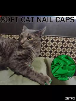 Cat Nail Caps Pet Cat Soft Paws Nail Protector Cover With Free Adhesive Glue + Applicator 20pcs/lot for Kitten
