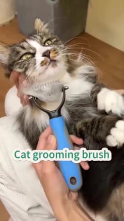 Professional Pet Deshedding Brush Dog Hair Remover Pet Fur Knot Cutter Puppy Cat Comb Brushes Dogs Grooming Shedding Supplies