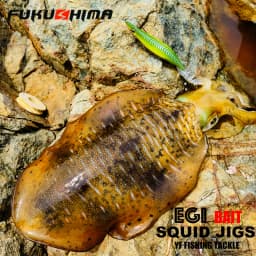 FUKUSHIMA 2-3.5 SQUID JIGS EGI LURE FISHING WOOD SHRIMP BAIT CUTTLEFISH OCTOPS GLOW TAIL SHARP HOOKS 21GRAM ROCK & BOAT FISHING