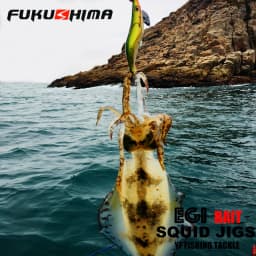 FUKUSHIMA 2-3.5 SQUID JIGS EGI LURE FISHING WOOD SHRIMP BAIT CUTTLEFISH OCTOPS GLOW TAIL SHARP HOOKS 21GRAM ROCK & BOAT FISHING