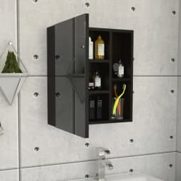 Labelle Medicine Cabinet With Mirror, Five Internal Shelves, Single Door Black