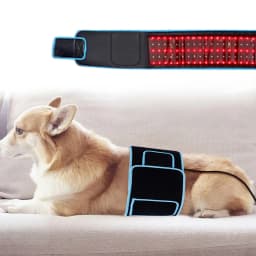 New Arrival Red Light Therapy Lipoaser Belt Body Fat Slimming Loss Belt 105 LED