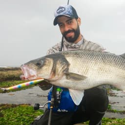 TSURINOYA Stinger 140S Fishing Lure Sinking Minnow DW92 140mm 26g Saltwater Seabass Ultra Long Casting Large Hard Baits Jerkbait