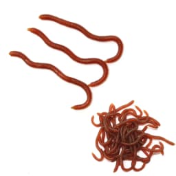 10pcs Lifelike 4 Colors Earthworm Bait Worms Artificial Fishing Lure 8cm Soft Baits Silicone Shrimp Flavor Additive Baits Tackle