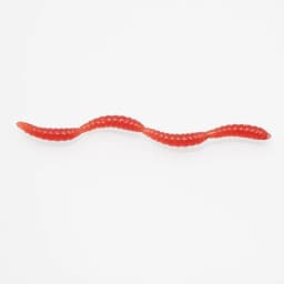 10pcs Lifelike 4 Colors Earthworm Bait Worms Artificial Fishing Lure 8cm Soft Baits Silicone Shrimp Flavor Additive Baits Tackle