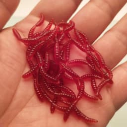 10pcs Lifelike 4 Colors Earthworm Bait Worms Artificial Fishing Lure 8cm Soft Baits Silicone Shrimp Flavor Additive Baits Tackle