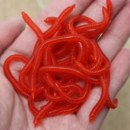 10pcs Lifelike 4 Colors Earthworm Bait Worms Artificial Fishing Lure 8cm Soft Baits Silicone Shrimp Flavor Additive Baits Tackle