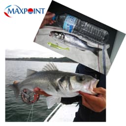 Hot-Sale Soft Lure Kit at 3+1 Jig Head and Soft Body 9cm Shad Blister Package 30g Set Bait Saltwater Fishing Baits Shad