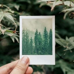 JIANWU 30 sheets Romantic Scenery Series Stickers Cool World Sky Forest Planet DIY Journal Sticker Stationery School Supplies
