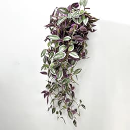 75cm Long Artificial Vines Leaves Fake Hanging Plants Silk Tree Leafs Green Bamboo Winding Rattan For Home Garden Wedding Decor