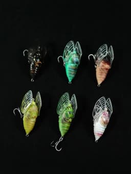 Kingdom 2026 New Cicada Topwater Lure With Wings 21mm 1.6g 27mm 2.4g Simulation Insects Hard Bait For Freshwater Bass Fishing