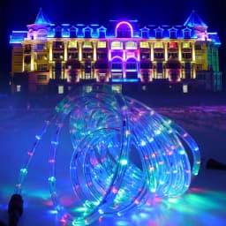 Round Tube Neon Light 220V Clear PVC Rope Lights 36Leds/m Waterproof Commercial Neon Sign Round 2-wire LED Strip Flexible Light