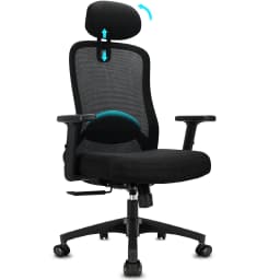 Durrafy Ergonomic Office Chair High Back Adjustable Armrests Lumbar Support 90°-130° Tilt Lockable Mesh Computer Chair Black