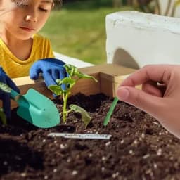 18/200x Plants Nutrition Stick Healthy Growth Nitrogen Phosphorus Potassium Plant Vegetables Flowers Compound Fertilizer Stick