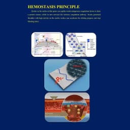 1.5/3.75M Hemostatic Kaolin Gauze Combat Emergency Trauma Z-Fold Soluble For Ifak Tactical First Aid Kit Medical Wound Dressing