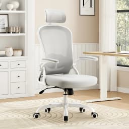Farini Ergonomic Office Chair with Adjustable Lumbar Support & Headrest, High Back Executive Chair with Flip-Up Arms