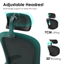 Farini Ergonomic Office Chair with Adjustable Lumbar Support & Headrest, High Back Executive Chair with Flip-Up Arms