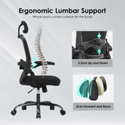 Farini Ergonomic Office Chair with Adjustable Lumbar Support & Headrest, High Back Executive Chair with Flip-Up Arms