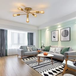 Modern Ceiling Light,5 Lights E27 Industrial Ceiling Lamp,Gold Metal Ceiling Lighting for Living Room,Bedroom(Bulb not included)