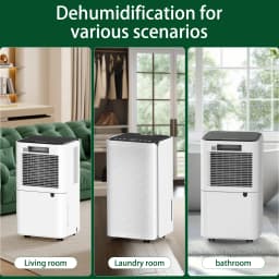 OYAJIA 12L Dehumidifier For Mould and Moisture Extraction Quiet 36dB with Wheels