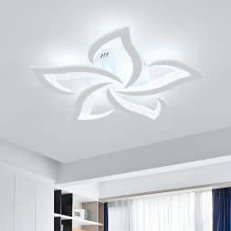 White LED Ceiling Lights with Remote Control, 60W Cold White 6500K, Acrylic Modern Ceiling Light for Bedroom Living Room Dinning