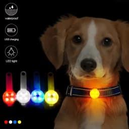 USB Rechargeable Waterproof LED Dog Collar High Brightness Safety Light for Pets