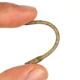 Hirisi 20pcs Carp Fishing Soft Rubber Anti Tangle Sleeves Carp Fishing Inline Lead Tube Fishing Terminal Tackle AH204