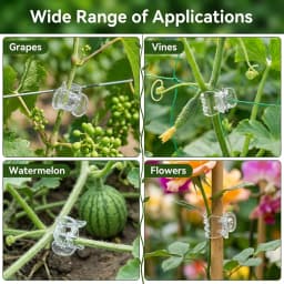 30/50/100Pcs Transparent 6 Claws Orchid Clips Plastic Butterfly Flowers Support Clear Fixer For Garden Vine Stem Plants Climbing