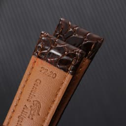 Crocodile Pattern Design Leather Watchbands Automatic Buckle Men Women Business Watch Band 12/14/16/18/19/20/22mm Watch Straps