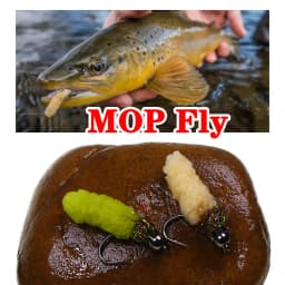 Bimoo 6PCS Brass /Tungsten Bead Head Mop Fly Artificial Crane Fly Caddis Larva Wet Jig Nymph Fly Trout Grayling Fishing Lures