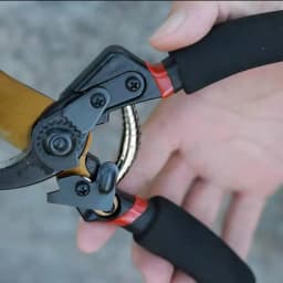 Rafford Multi-Purpose Heavy Duty Garden Shears with Soft Cushioned Grips Suitable for Bypassing Trees, Roses and Other Plants
