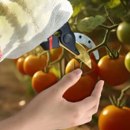 Rafford Multi-Purpose Heavy Duty Garden Shears with Soft Cushioned Grips Suitable for Bypassing Trees, Roses and Other Plants