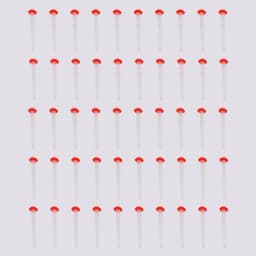 50Pcs Dental Fiber Posts Straight Screw Quartz Glass Fiber Resin Post Root Canal Pile Restorative Orthodontic Filling