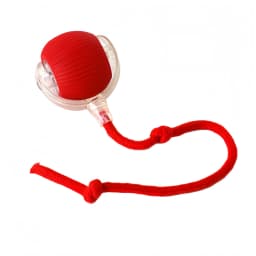 Dog Toy Automatic Dog Walking Ball Self-Happy Relieving Boredom Pet Electric Puppy Bite-Resistant Smart Toy Puppy Training