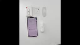 Tuya Smart WiFi Temperature Humidity Sensor Indoor Hygrometer Thermometer APP Remote Monitor Compatible with Alexa Google