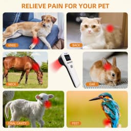 880mW Home Use Pain Relief Machine for Human And Pets Portable Red Light Cold Laser Physiotherapy Wound Healing & Arthritis
