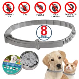 Extendable Pet Dogs Flea Collar Antiparasitic Calming Necklace Personalized Anti-Flea and Tick Mosquito for Big Dog Puppy Cat