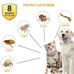 Extendable Pet Dogs Flea Collar Antiparasitic Calming Necklace Personalized Anti-Flea and Tick Mosquito for Big Dog Puppy Cat